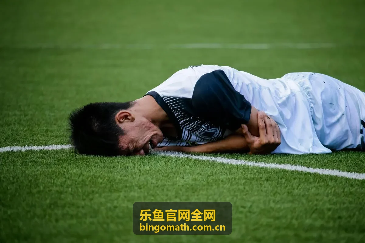 乐鱼官网全网品牌专区答疑